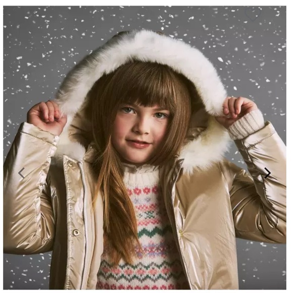 Janie and Jack Other - Brand New Janie & Jack Toddler Girl Gold Metallic Puffer Coat, Size 3-4, NWT